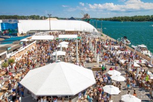 1002310_162018780650379_465623472_n